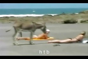 مضحك..4....CH. t. ب. على الانترنت الجنس الإباحية سميكة