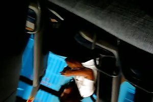فلاش حافلة كانت 2 مص الاباحية على الانترنت مشاهدة