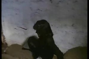 الجنس الكوميديا خمر الألمانية فيلم معشوقة kumpel 2 الروسية الزفاف الإباحية مشاهدة اون لاين