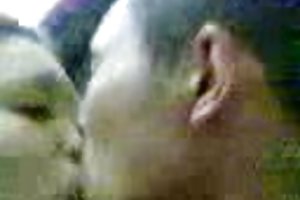 الملايو handjob الاباحية الجنس الكلبة